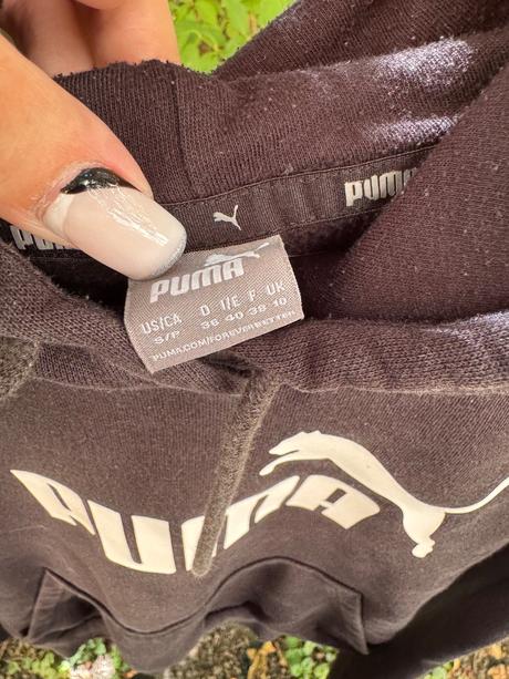 Mikča, puma,158
