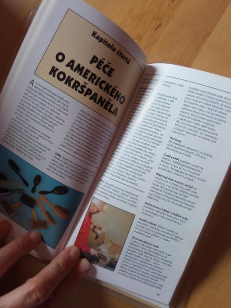 Kniha kokršpanělé,