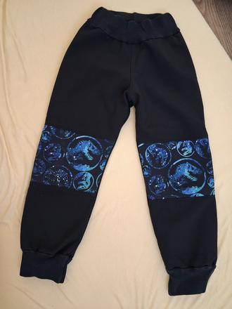 Softshellové kalhoty s dinosaury, 110