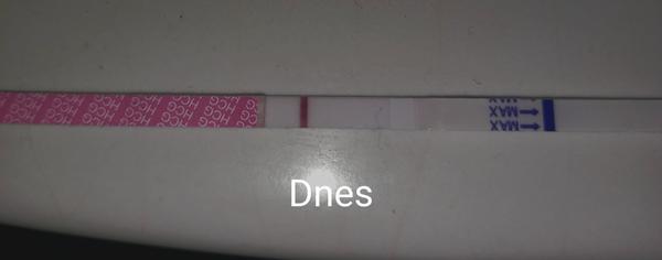 Příznaky biochemické gravidity u 10 dní po ovulaci?