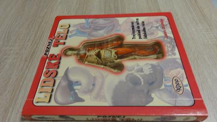 Poznej lidské tělo trojrozměrný pohled do těla,