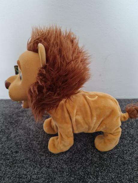 Interaktivní lvíček kokum,