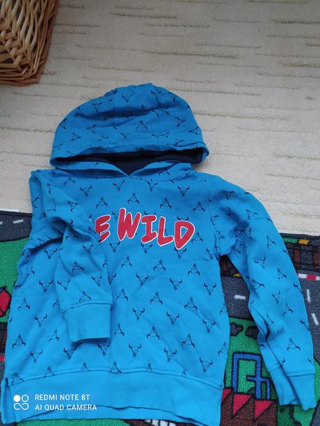 Dětská mikinka, lupilu,110