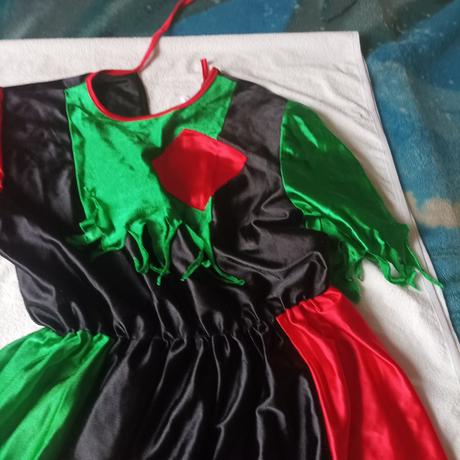 Karnevalový kostým,