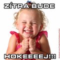 vice ve skupine https www modrykonik c