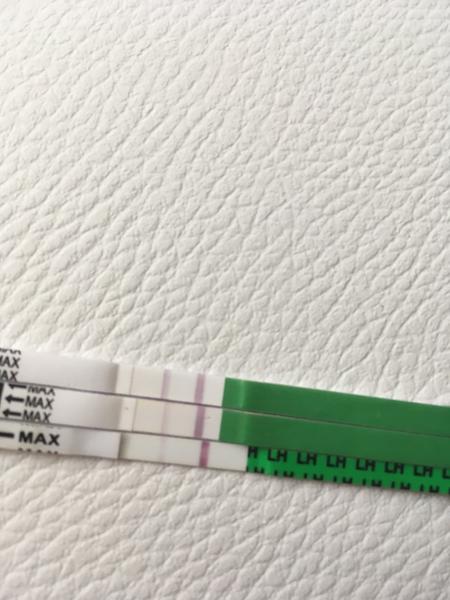 Ovu test - je pozitivní?