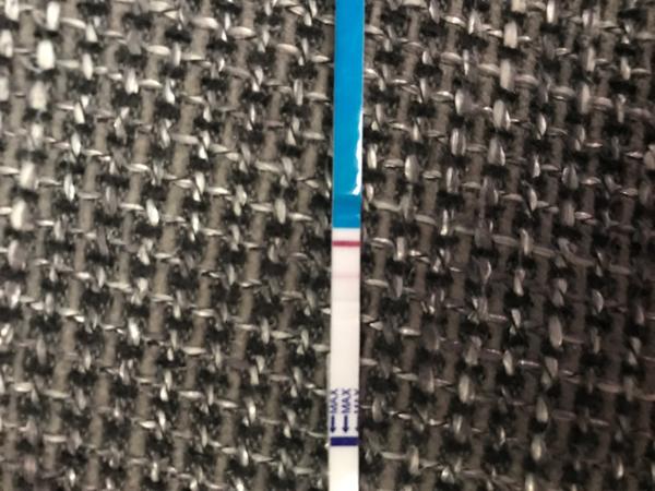 Jsem těhotná nebo ne?