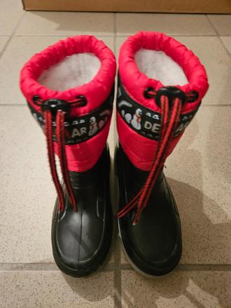 Snehule s ovcim koziskem, demar,28