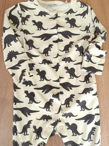 Overal s dinosaury 68 next, next,68