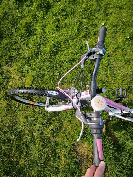 Kolo leader fox 24', 24