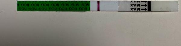 Těhotenský test. Vidíte něco? 🙈