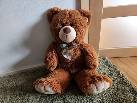 Plyšový medvěd,