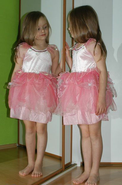 Karnevalové růžové šaty víla...,