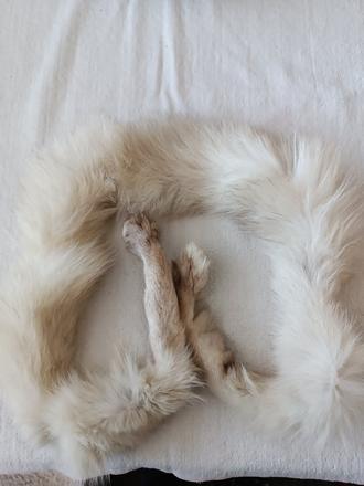 Kožešinový šál,