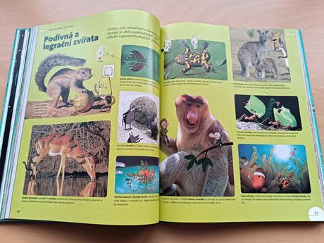 Velká ilustrovaná encyklopedie nové generace, 