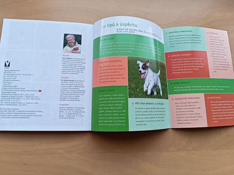 Parson a jack russell terriér - karin wegner, 