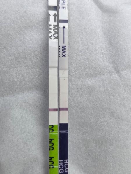 Test 9dpo