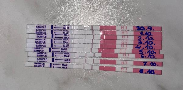 Nestihla jsem udělat ovulační test ve správný čas?