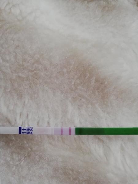 Ovulační test. Pozitivní?