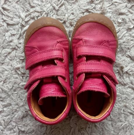 Froddo 23 celoroční, froddo,23