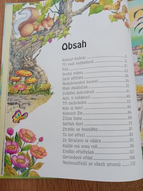 Kniha rok na statku., 