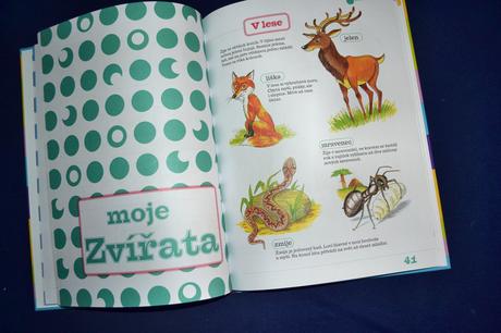 Dětská kniha co všechno už vím než půjdu do školy,
