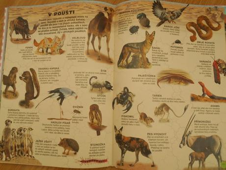 Kniha moje první kniha předškoláka a prvňáka,