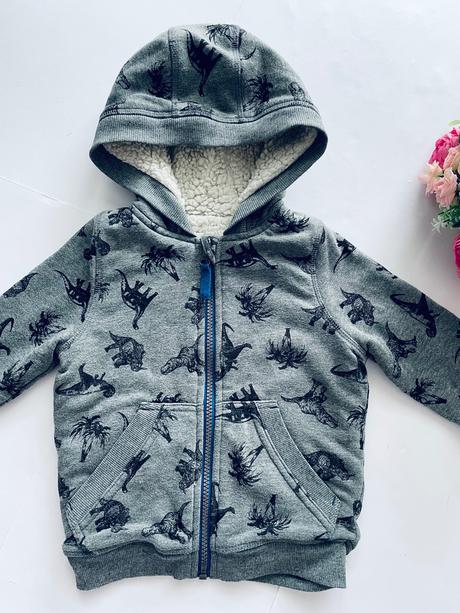 Mikina zateplená s dinosaury - v.18/24 měs, nutmeg,92