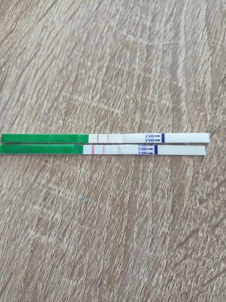 Ovulační test. Může být pozitivní 2 dny po sobě?