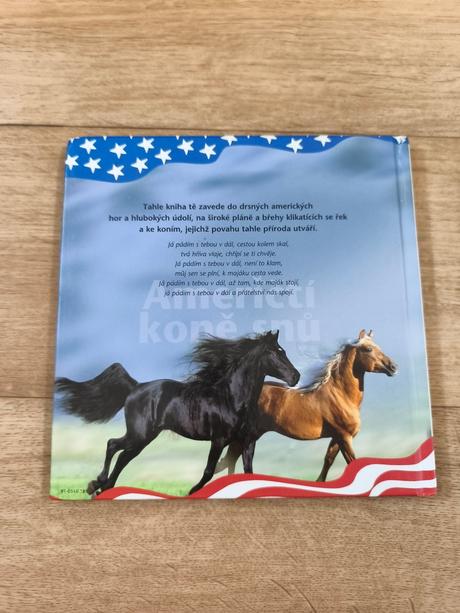 Kniha američtí koně snů,