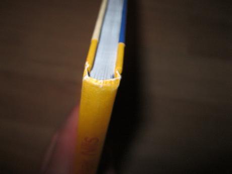 Kniha skřítek nils, 