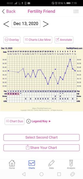 Graf BT. Má někdo podobně?