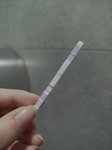 Mohu věřit negativnímu těhotenskému testu po menstruaci?