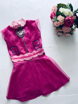 An6/ kostým pav patrol,