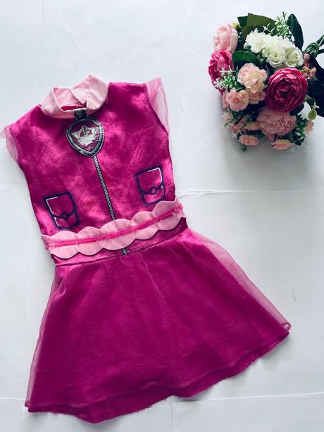 An6/ kostým pav patrol,