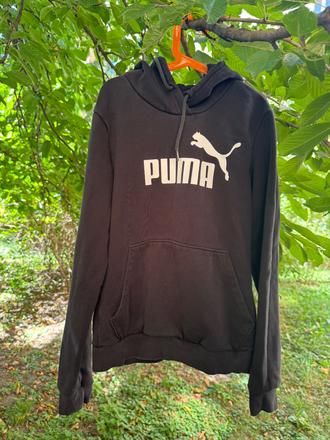 Mikča, puma,158