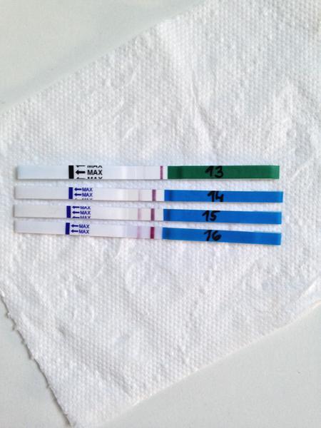 Čárka na těhotenském testu asi slábne?