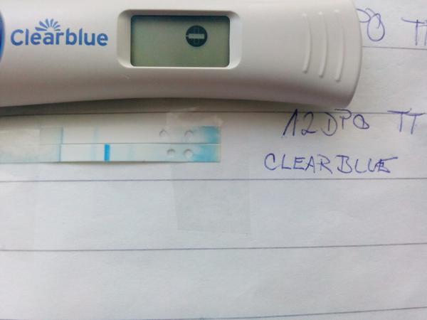 DigitalClear Blue TT, měly jste okolo pluska bílý obrys?