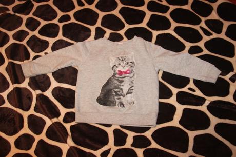 Mikina s kočičkou, 104