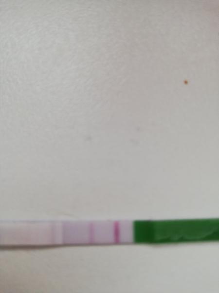 Je tohle pozitivní ovulační test?