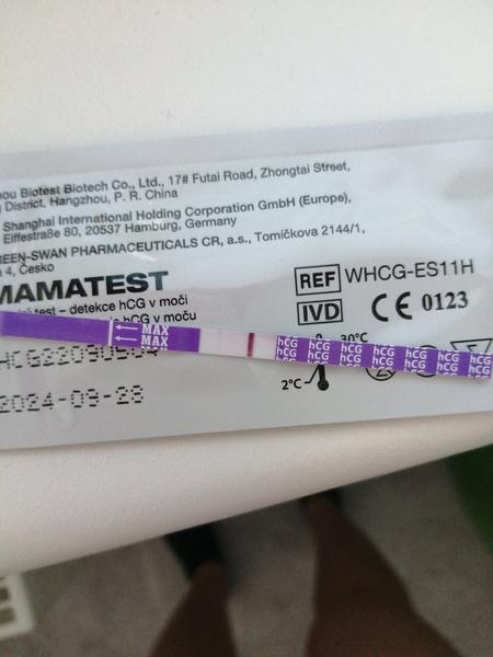 Vidíte druhou čárku na testu? Mám provést další test?