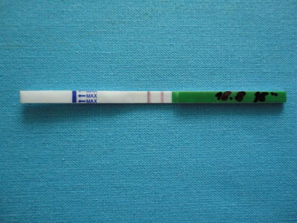 Ovulační test - hodně silný dnes, bude silnější zítra?