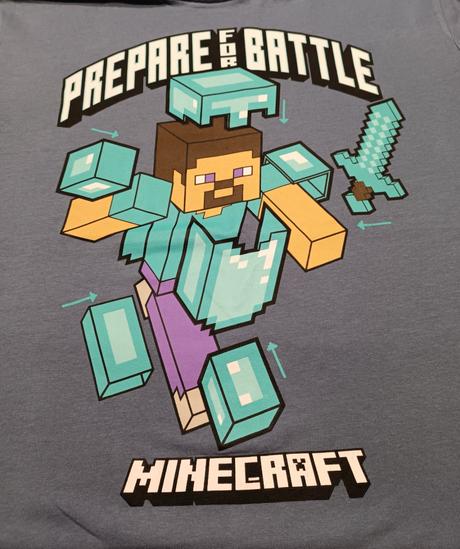 Chlapecké triko krátký rukáv minecraft reserved, reserved,170