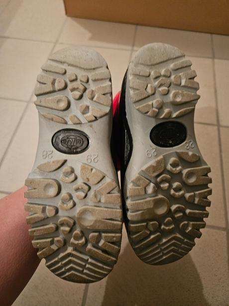 Snehule s ovcim koziskem, demar,28