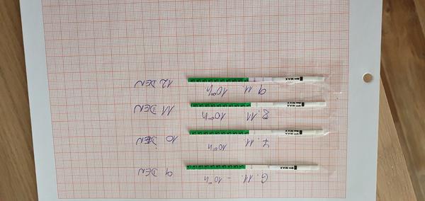 Ovulace. Co myslíte?