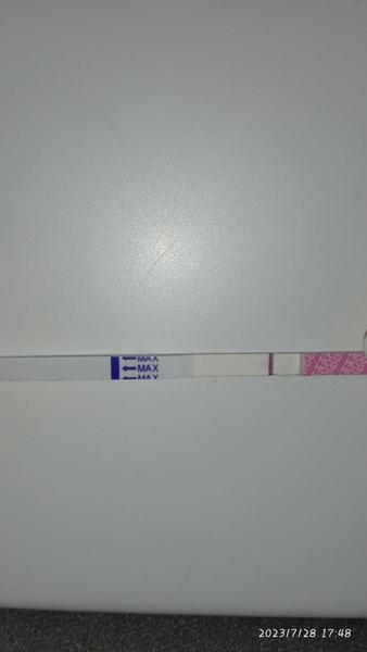 Je možné těhotenství při opožděné menstruaci a negativním testu?