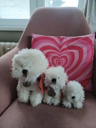 3krát plyšový bišonek,