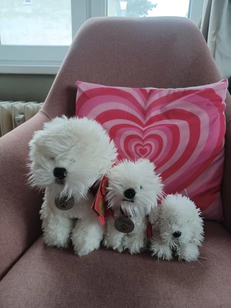 3krát plyšový bišonek, 