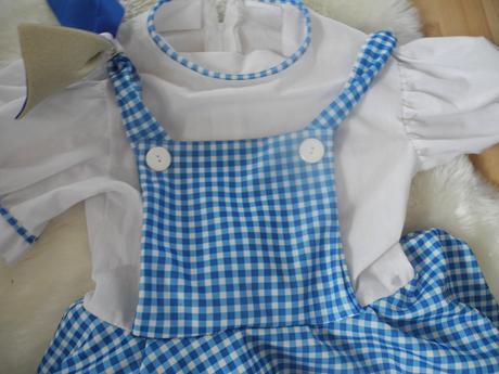 Karnevalový kostým, 