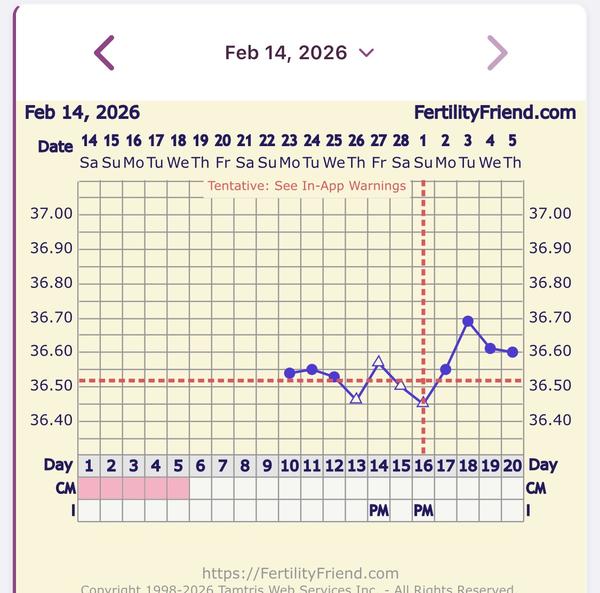 Je možné, že proběhla ovulace?
